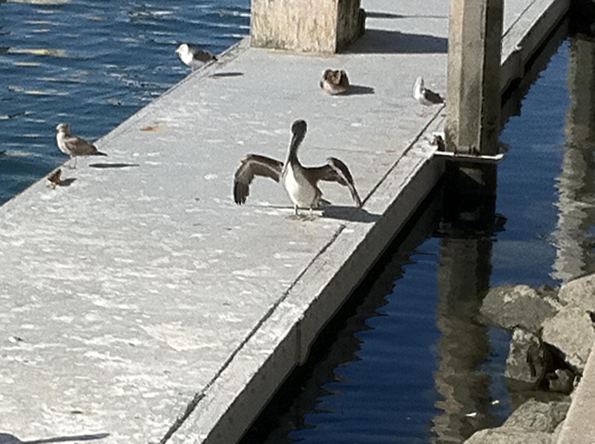 Venice *